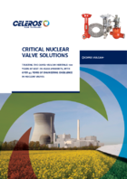 CV Nuclear Valves