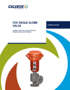 CV CVK Angle Globe Valve
