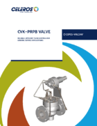 CV CVK PRPB 409 WEB VERSION