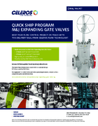 Quick Ship Program M&J Expanding Gate Valves
